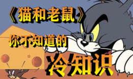 tom视频,轻松掌握短视频制作与传播技巧